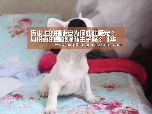 华体会官方入口