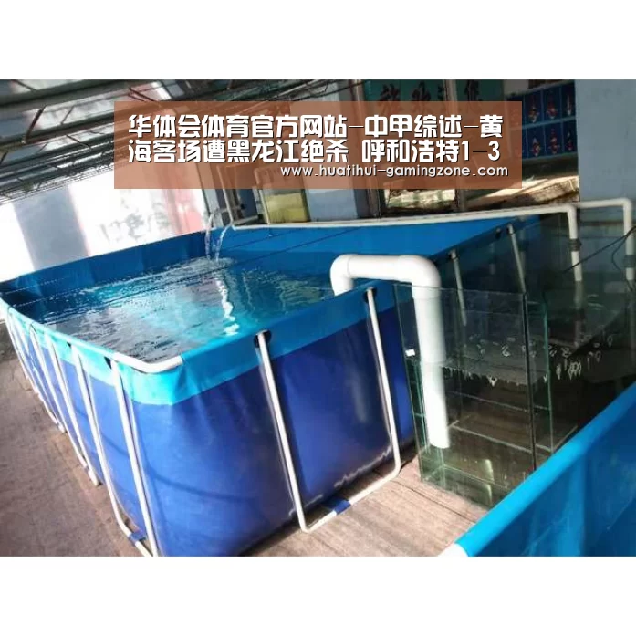华体会体育官方网站-中甲综述-黄海客场遭黑龙江绝杀 呼和浩特1-3亚泰(图1) 华体会体育官方网站