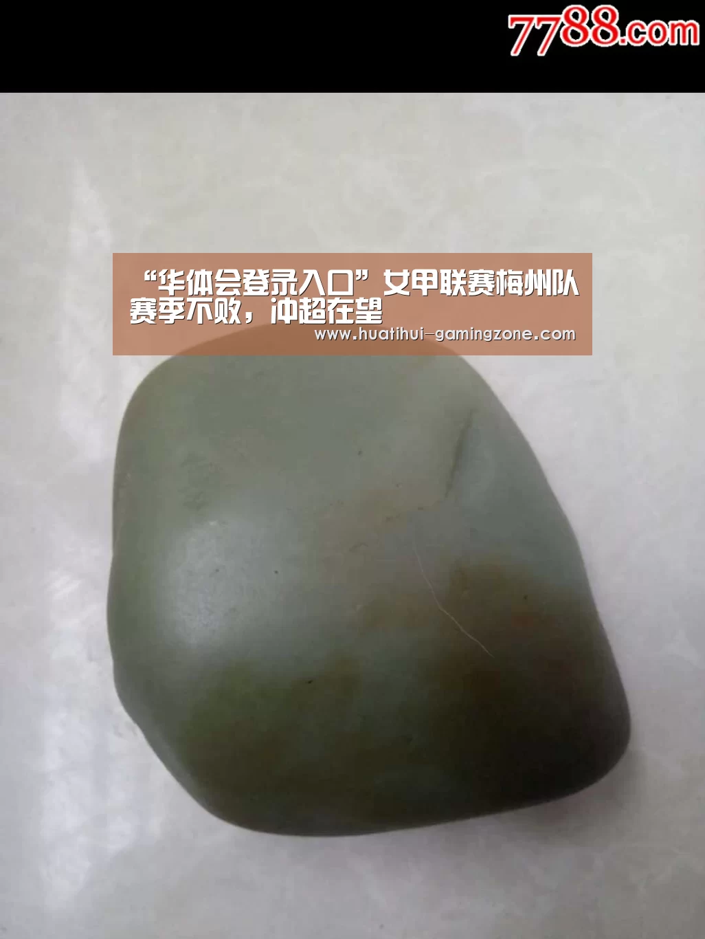 华体会官方入口