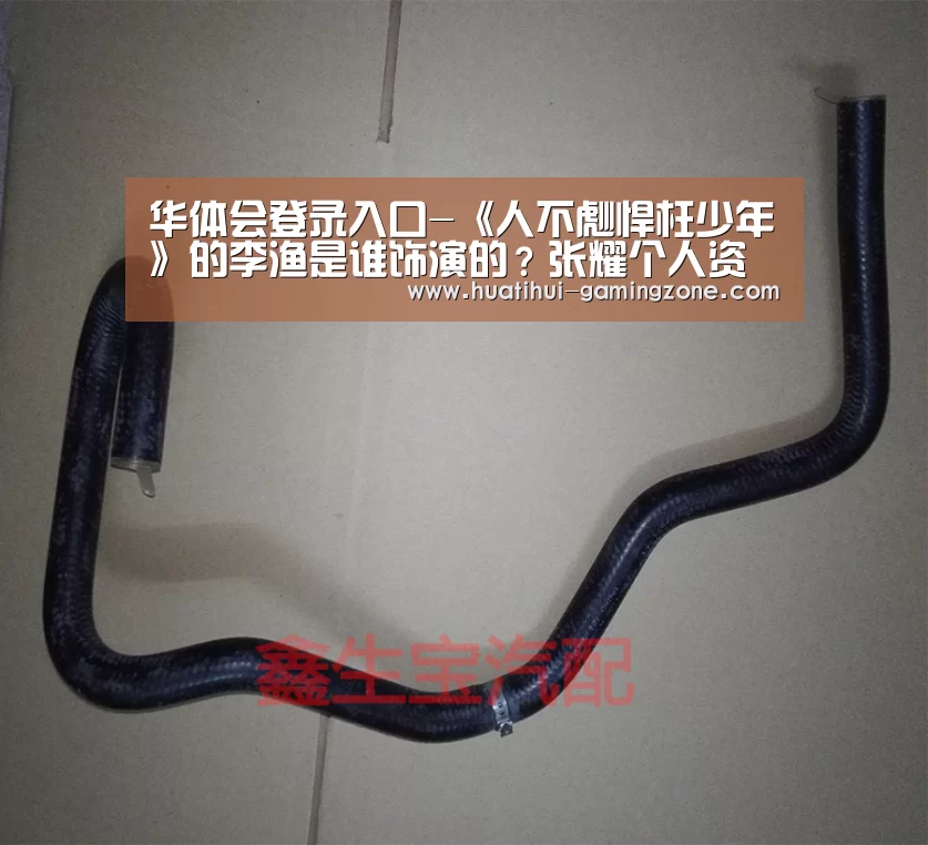 华体会登录入口-《人不彪悍枉少年》的李渔是谁饰演的?张耀个人资料(图2) 华体会登录入口