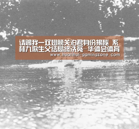 请赐我一双翅膀关泊君身份揭秘 系林九歌生父结局终洗冤-华体会体育官方网站(图1) 华体会官方入口